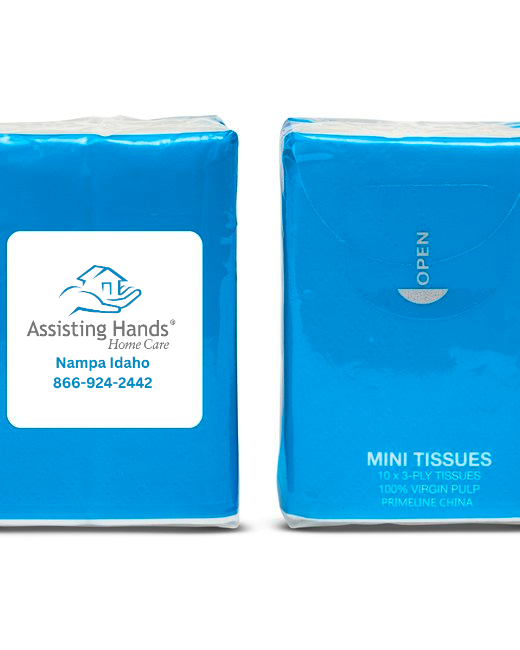 Assisting Hands - 500ct -Prime Line Mini Tissue Packet